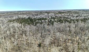 5280 Cathro Rd, Alpena, MI 49707