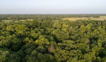 Tract 10 Highway 70, Bennington, OK 74723