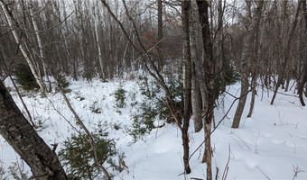N County Highway W lot 0, Winter, WI 54896