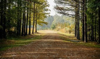 971 Somerset Rd SE, Bogue Chitto, MS 39629