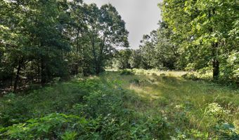 Private Drive Off Of Fr 1245, Aurora, MO 65605