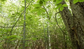 Lot 6 Maplecrest Road, Parsonsfield, ME 04047