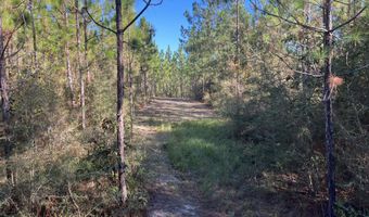259 Forest Lake Rd, Beaumont, MS 39423