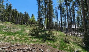 Lot 1267 STARLIGHT OVERLOOK, Angel Fire, NM 87710