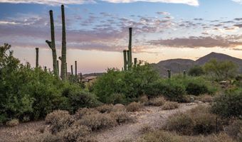 41927 N SAGUARO FOREST Dr 107, Scottsdale, AZ 85262