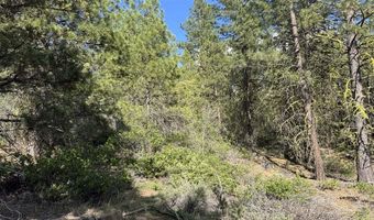 Thunderbear Road 46, Bonanza, OR 97623