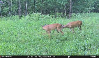 694 A Tunnel Ridge Rd, Argillite, KY 41121
