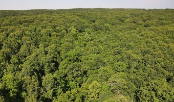 Private Drive Off Of Fr 1245, Aurora, MO 65605