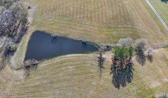 766 Pinola Braxton Rd, Braxton, MS 39044
