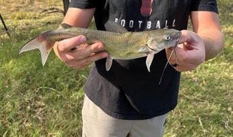 6525 US 180, Anson, TX 79501