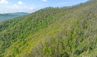 21 Reillys Bluff Rd 1, Barnardsville, NC 28709