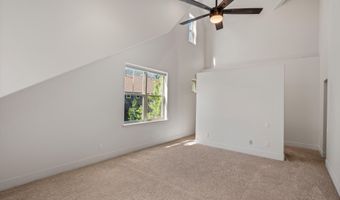 711 Evans Ct, Basalt, CO 81621