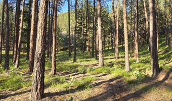 Nhn Profile Rock, Alberton, MT 59820