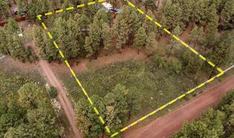 11 Whitetail Rd, Alpine, AZ 85920