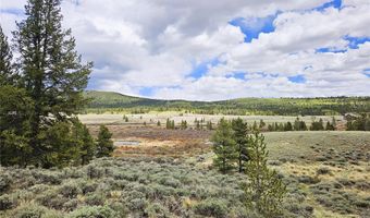 700 Looney Ln Lot 0, Alma, CO 80420