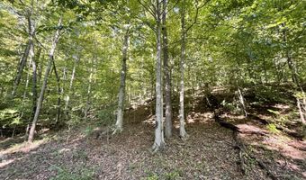462 Lake View Dr, Barbourville, KY 40906