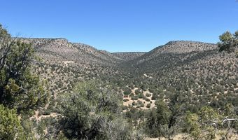 295 Old Deputy Shortline, Ash Fork, AZ 86320