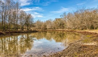 5280 Whitaker Way, Anderson, TX 77830