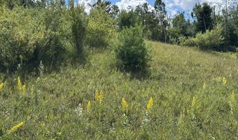 V/L13.25AC Co Rd 612 & Ann Arbor Rd, Lewiston, MI 49756