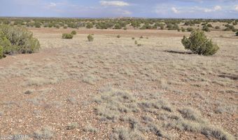 10 N9228, Concho, AZ 85924