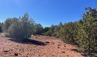 44 County Road 8114, Concho, AZ 85924