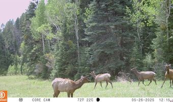 15098 CR 240, Bayfield, CO 81122