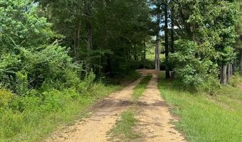 148 Butler Dr, Braxton, MS 39044