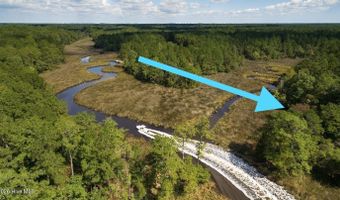 292 N Brightleaf Dr Lot 203, Minnesott Beach, NC 28510
