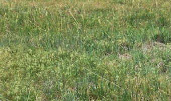 0 Parcel 2 N, Briggsdale, CO 80611