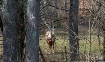 1720 Brevard Rd, Arden, NC 28704