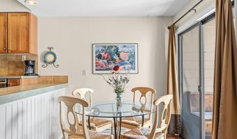 246 Broken Lance Dr 402, Breckenridge, CO 80424