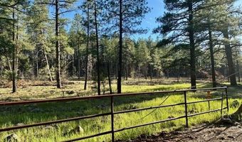 17550 S Munds Ranch Rd 118, Munds Park, AZ 86017