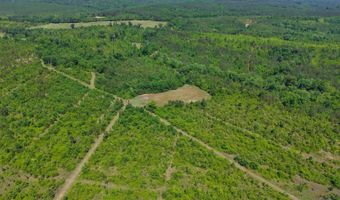 County Road 38, Autaugaville, AL 36003
