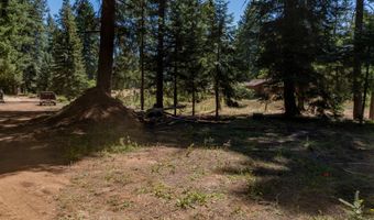1251 CANYON Rd, Appleton, WA 98602