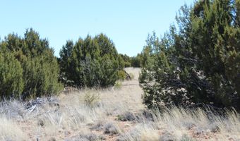 80 County Road 8620, Concho, AZ 85924