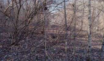 Toole Creek Road, Abingdon, VA 24210