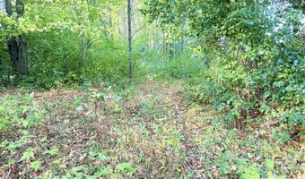 COUNTY ROAD Z lot 4, Aniwa, WI 54408