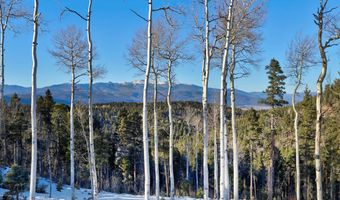 24 Beaver Loop, Angel Fire, NM 87710