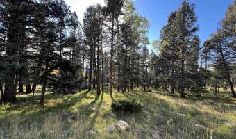 Lot 1319 Pleasant Valley Overlook, Angel Fire, NM 87710