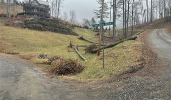 99999 Mountain Crest Dr, Bakersville, NC 28705