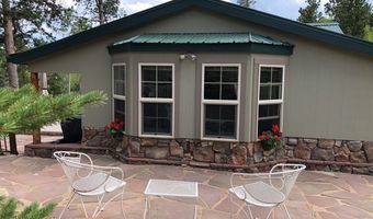 131 County Road 90, Allenspark, CO 80510