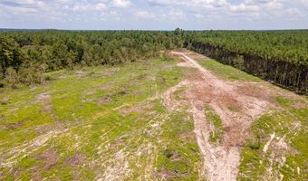 R53358 Tract 3 Hwy 94, Apple Springs, TX 75926