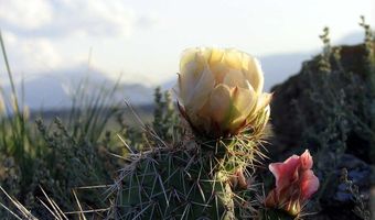 nhn Cumberland Road, Clark, WY 82435