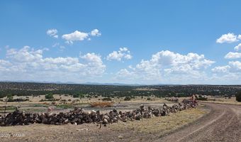 20 County Road 5088, Concho, AZ 85924