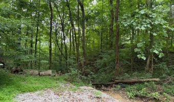 Wolf River Estates Rd, Albany, KY 42602