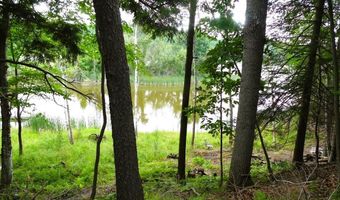 S Forest Lake, Alger, MI 48610