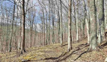 3938 Saint Clara Rd, Alum Bridge, WV 26321