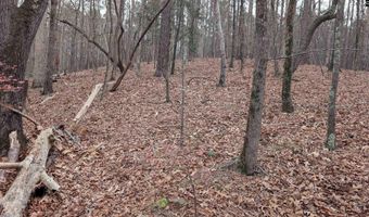 Lots B & C Miller Road, Camden, SC 29020
