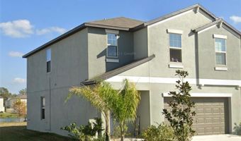 5213 DANDELION St, Apollo Beach, FL 33572