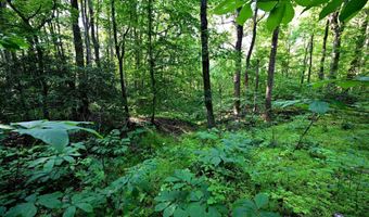 RICHARD ALLEN Street, Aquasco, MD 20608